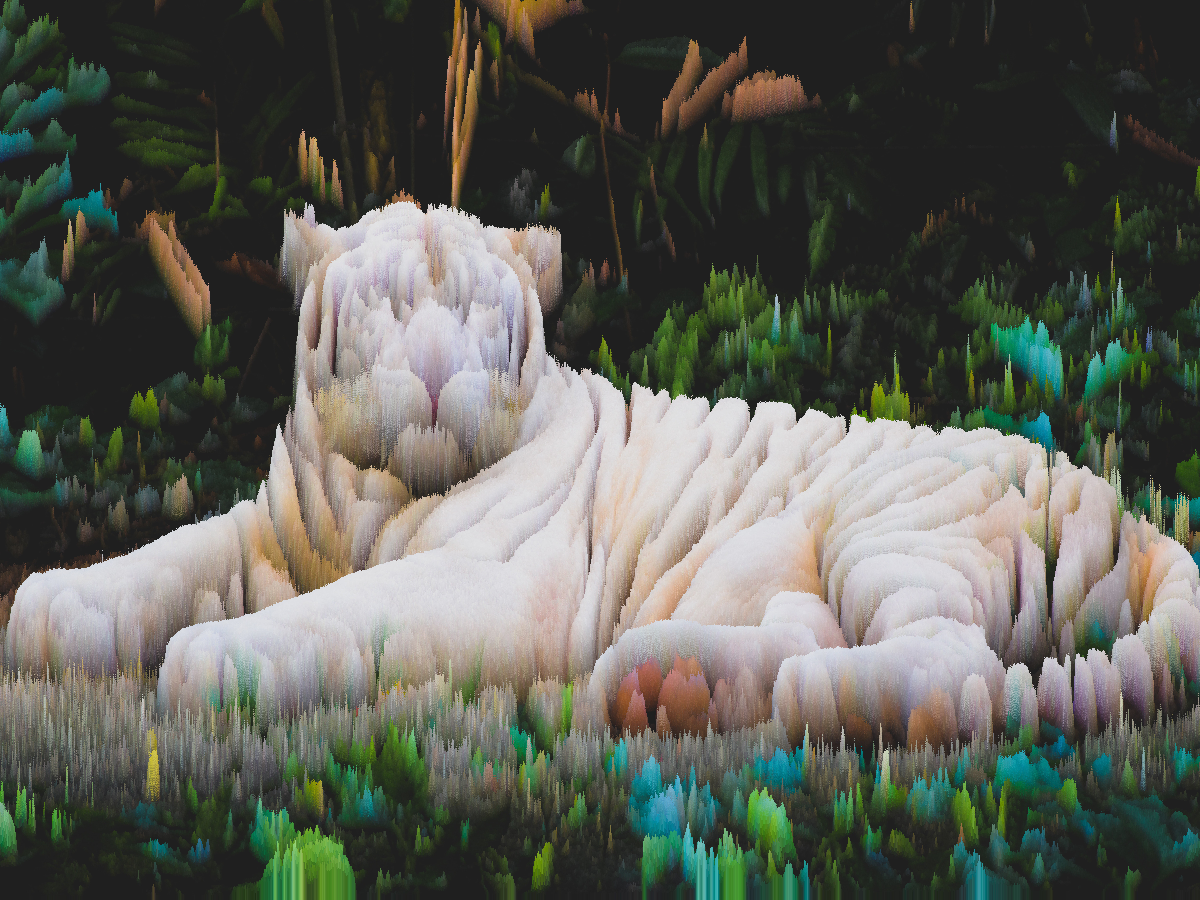 White tiger