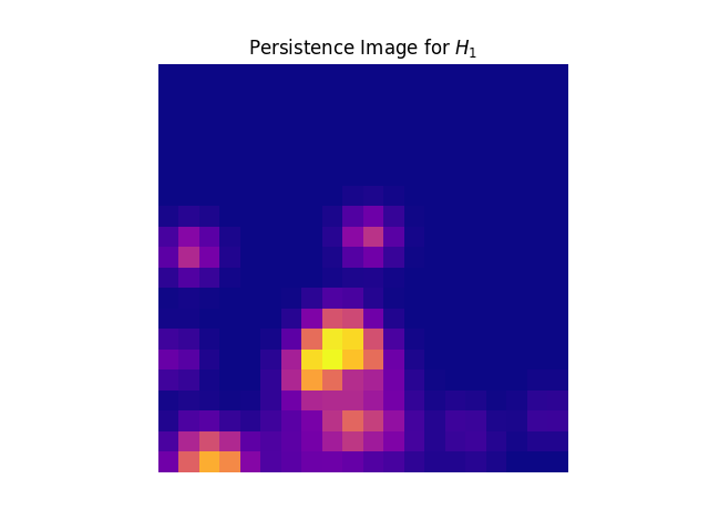 pers image of H1 diagram