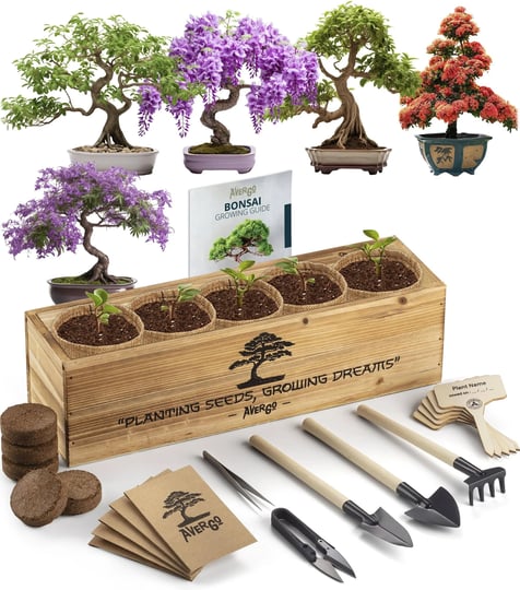 bonsai-tree-kit-5x-unique-japanese-bonzai-trees-complete-indoor-starter-kit-for-growing-plants-with--1
