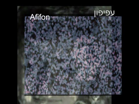 Dance Me to the End of Love