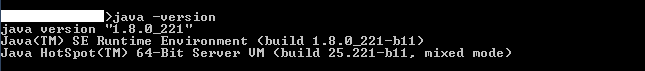 java -version output