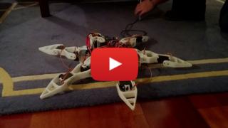 Hexapod First Run