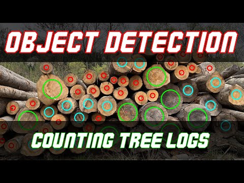 Counting Tree Logs by Size