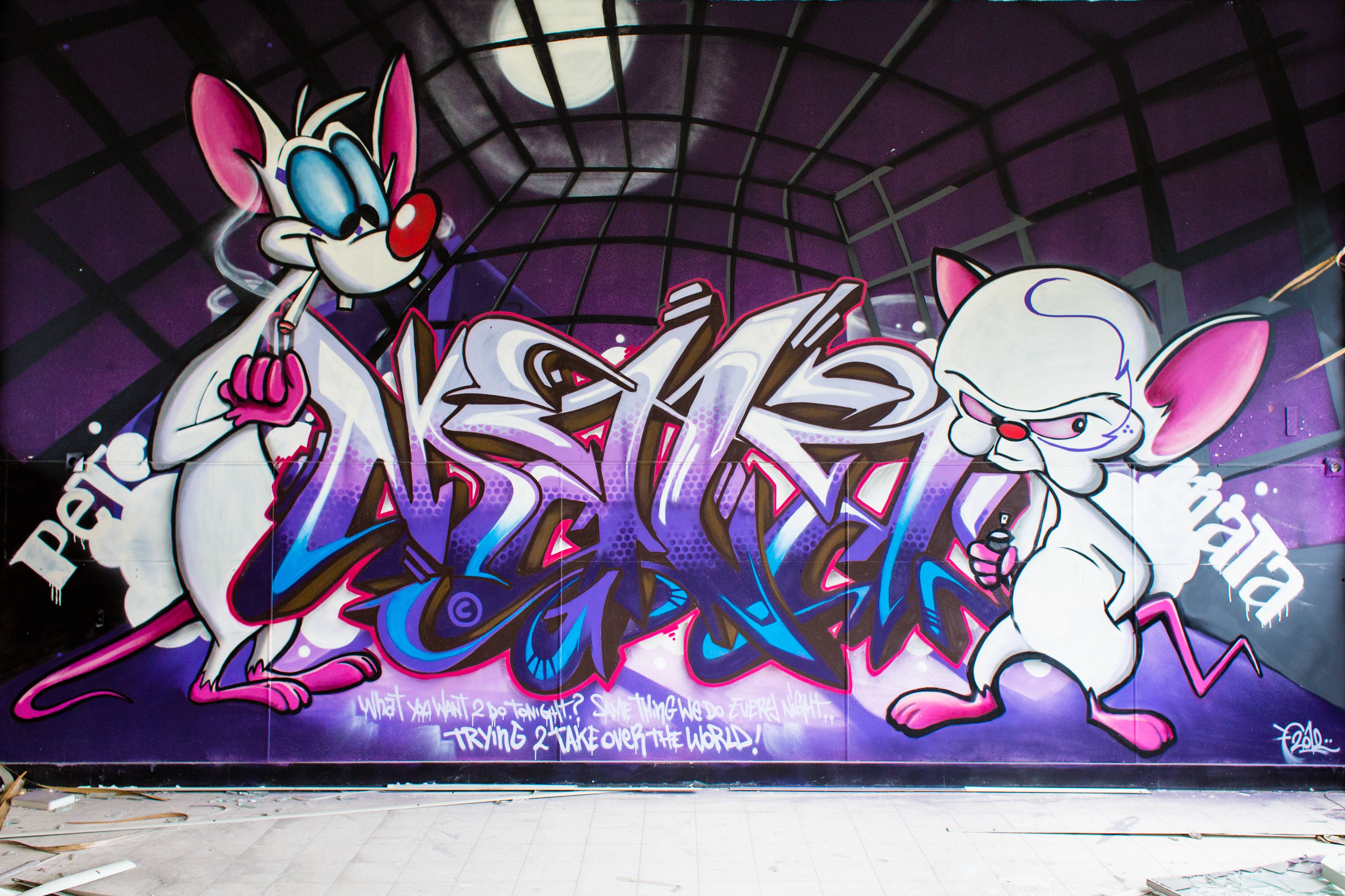 Pinky and the Brain graffiti