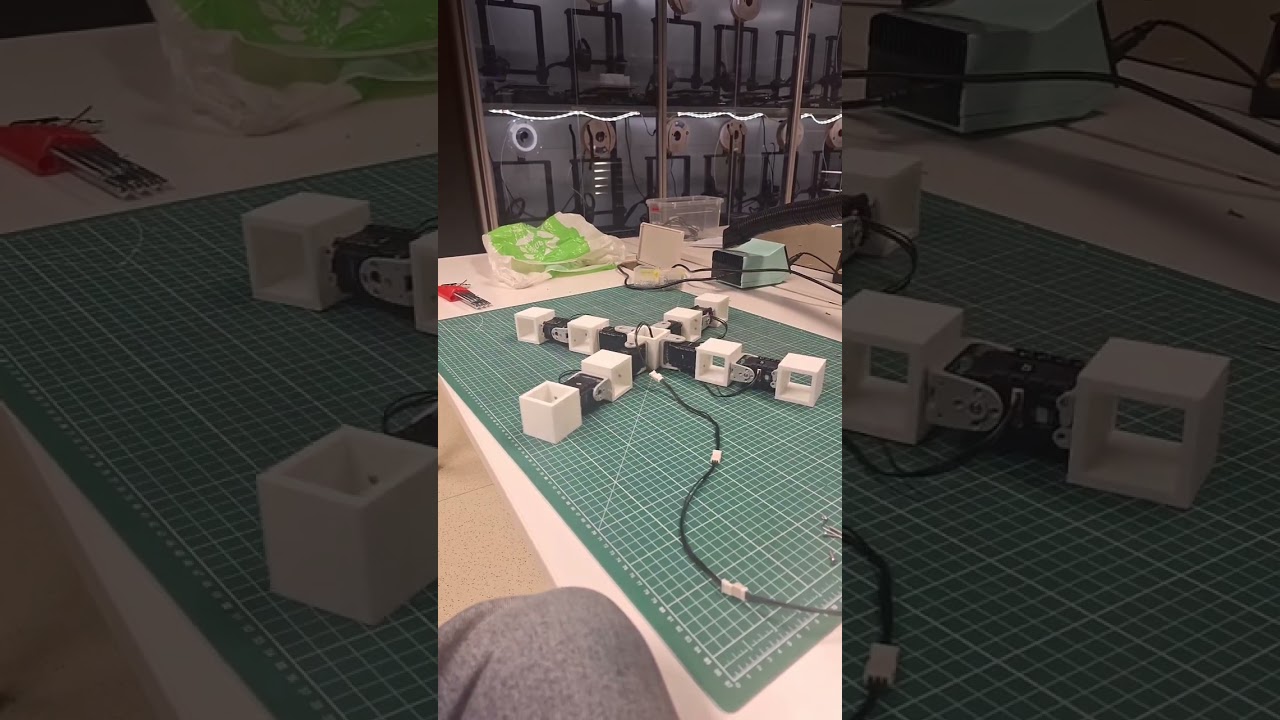 4-legged breakdancing spider