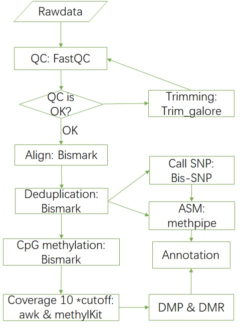 WGBS pipeline