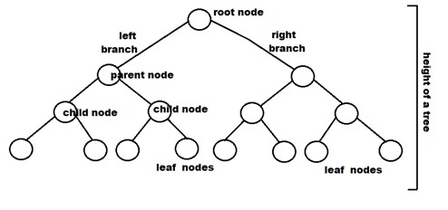 Binary Tree