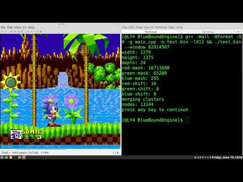 DetectsSonic