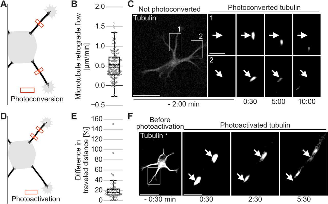 Figure 1 generated with FigureFlow