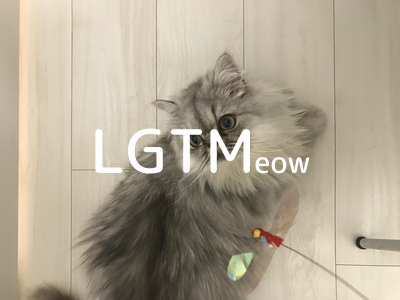 LGTMeow