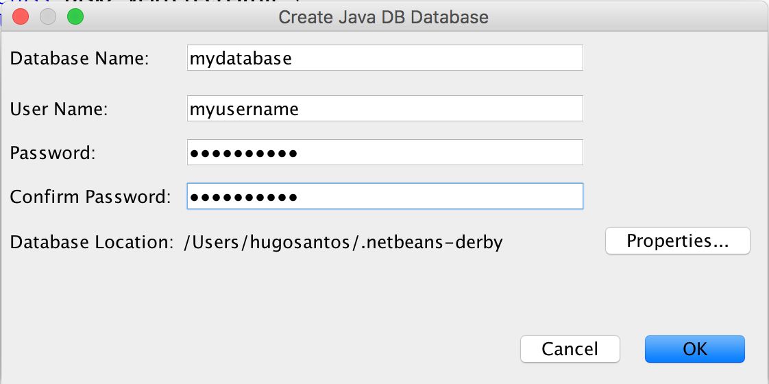 Insert the details of your new JAVA DB