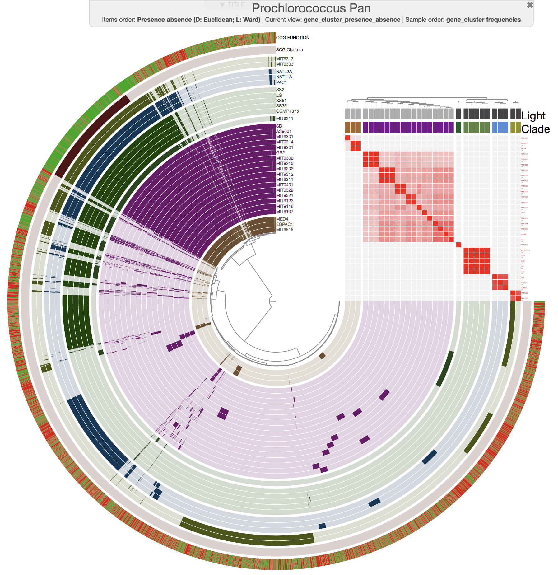 http://merenlab.org/images/anvio/2016-11-08-pan-genomics/prochlorococcus-ani.png