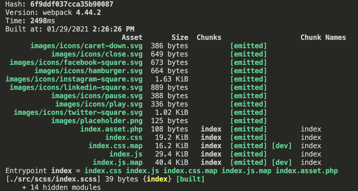 screenshot of npm run build in terminal with updates