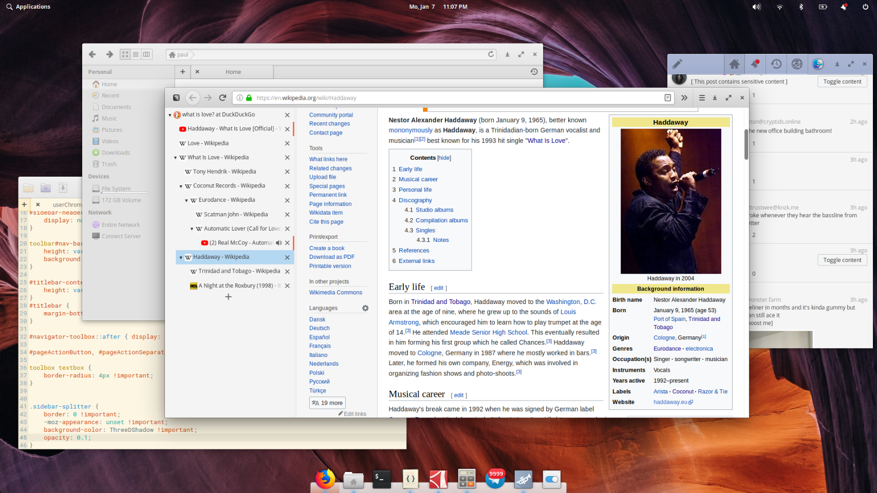 A preview of the theme in elementary OS