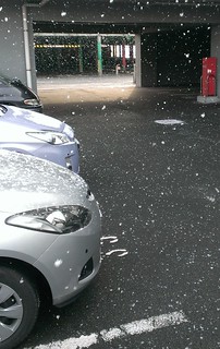 降りしきる雪