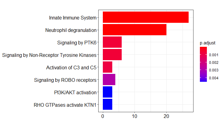 These are the most significant pathways retrieved by LErNet for the example with mouse genes.