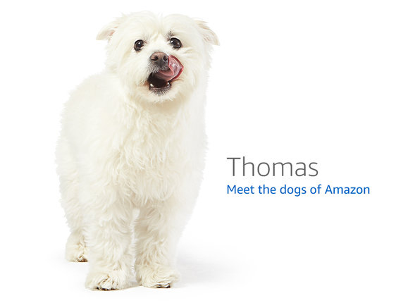 Amazon.com の 404 ページに表示される犬の一覧 · GitHub Amazon.com の 404 ページに表示される犬の一覧 · GitHub