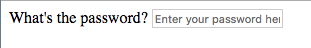 Image of password input