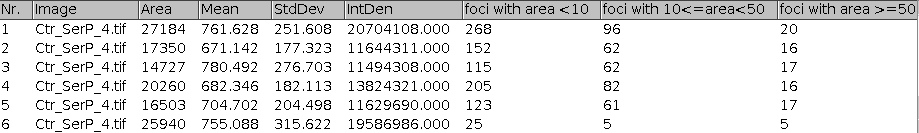 foci_resuls_table.png