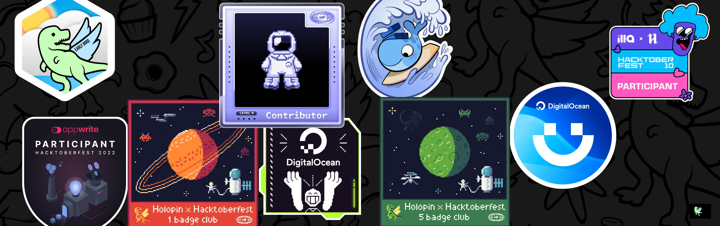 Chandan's Holopin board