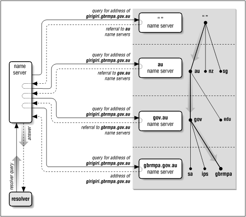 DNS Resolution