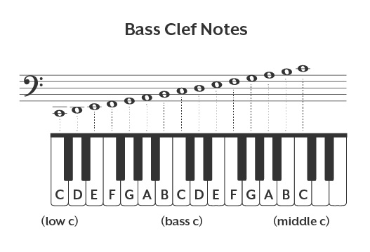 Bass clef notes