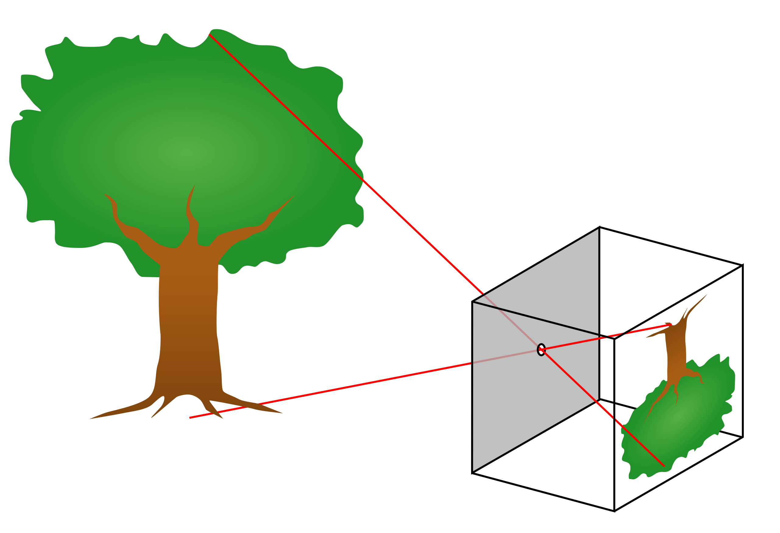 Pinhole Model