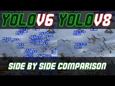 Yolo v6 vs Yolo v8