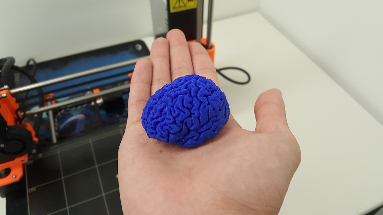 Photo of a printed brain