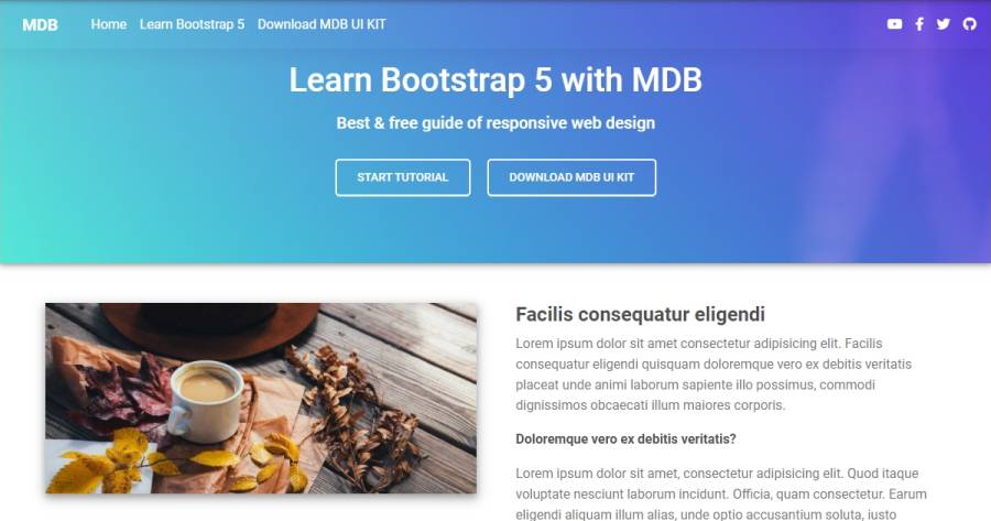 Bootstrap Video Half Cover Theme