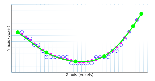 spline nodes & spline