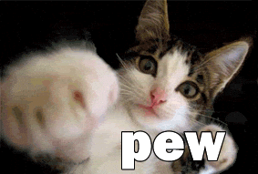 Pew Pew cat