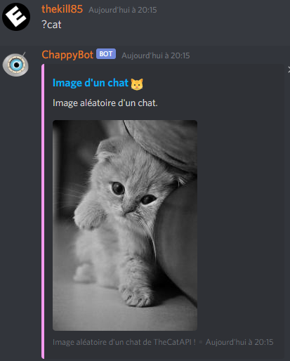 Image de chat aléatoire (sans précision de la catégorie désirée)