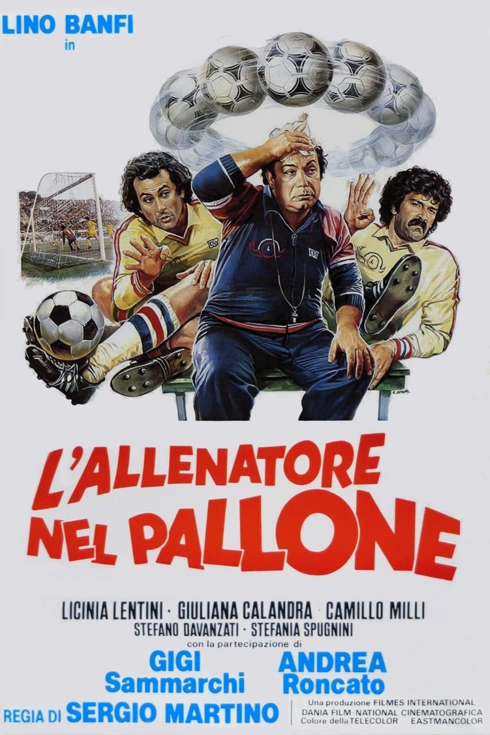 L'allenatore nel pallone