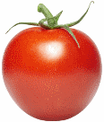 .NET | CherryTomato