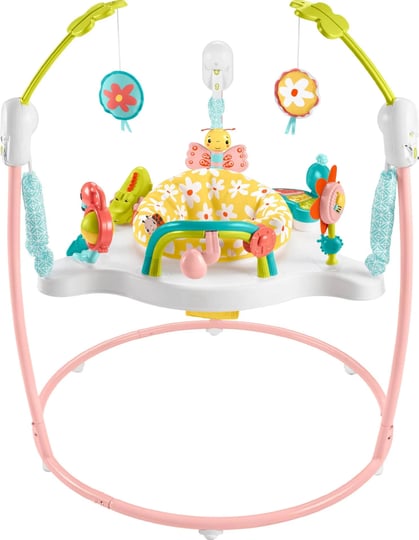 fisher-price-baby-bouncer-blooming-fun-jumperoo-activity-center-1