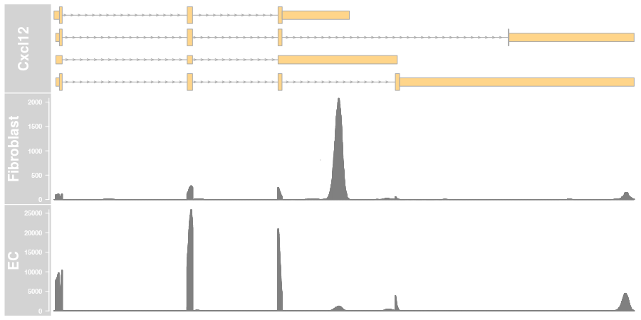 Coverage Plot