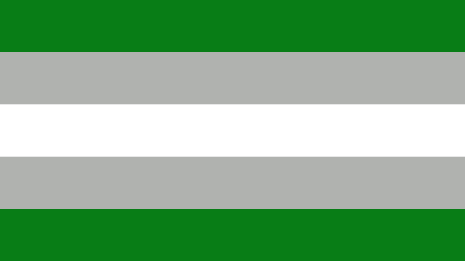 Grey Asexuality Flag