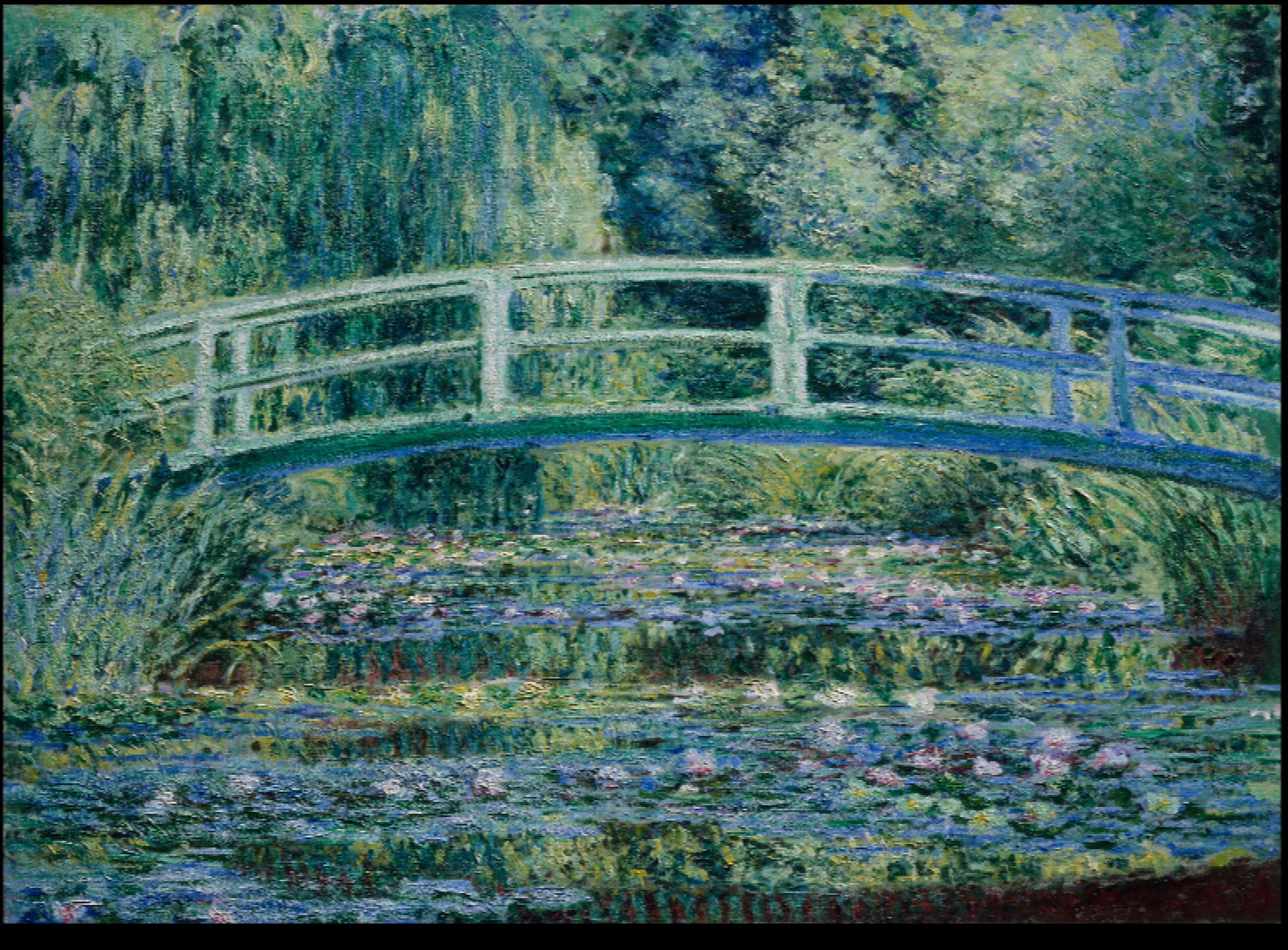 Monet in a terminal