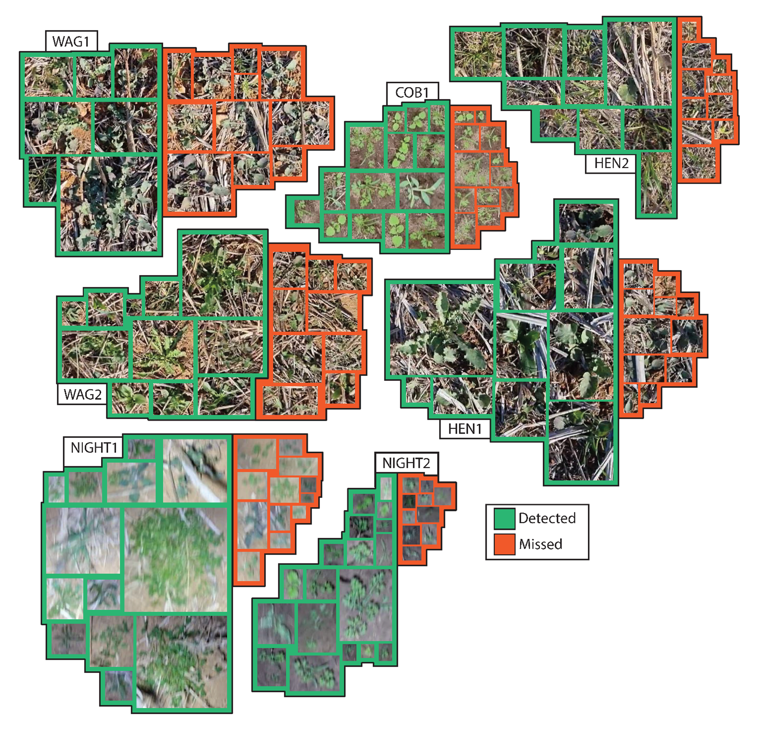 OWL - detections