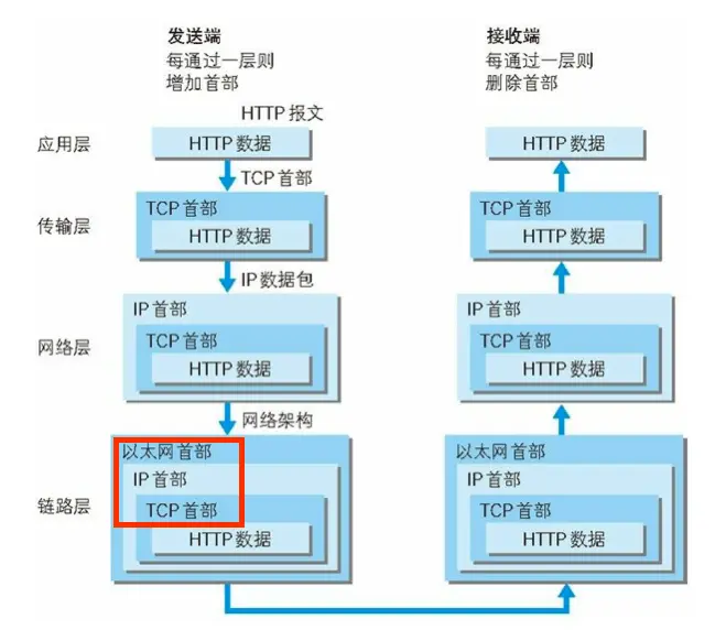 发送端在层与层之间传输数据时，每经过一层时必定会被打上一个该 层所属的首部信息。反之，接收端在层与层传输数据时，每经过一层 时会把对应的首部消去。