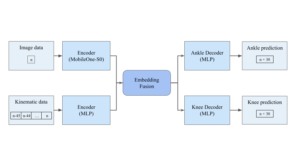 Model architecture