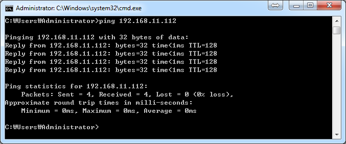 Ping request / reply success