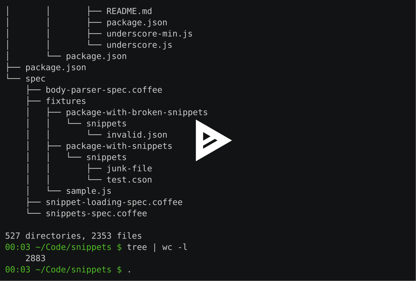 asciicast