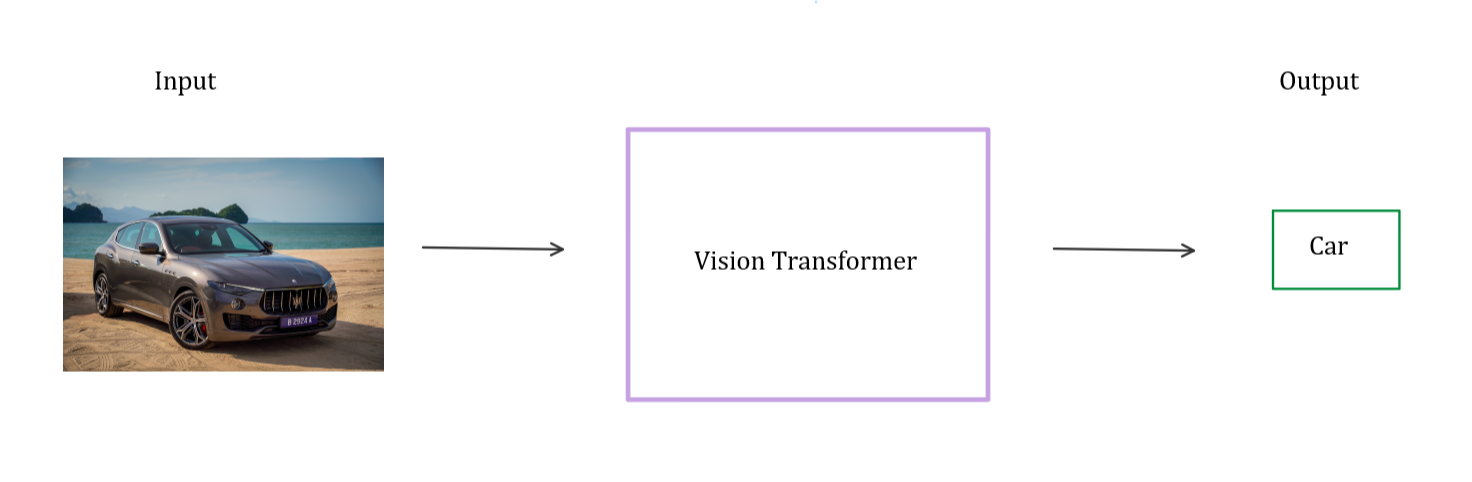 The Vision Transformer model takes an image and outputs the class of the image