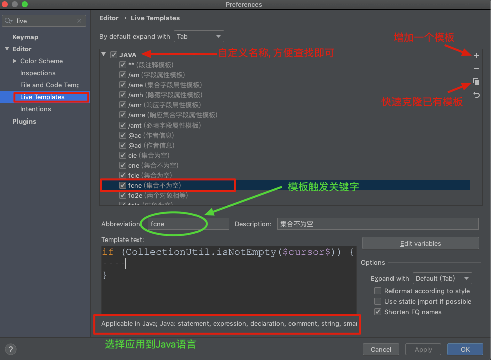 代码模板