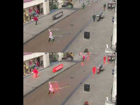 RF-DETR: detection vs instance segmentation