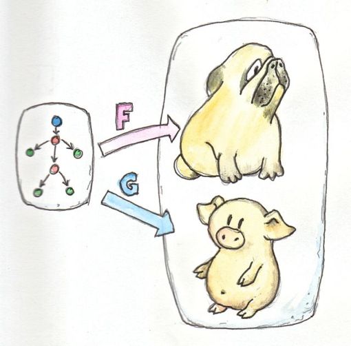 1_Functors