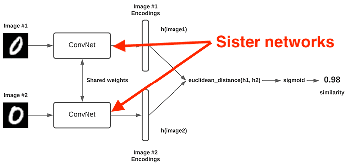 Image of Siamese Network