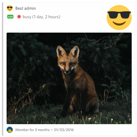 An example shows usage of image in profile